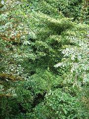 DSCF8672.JPG