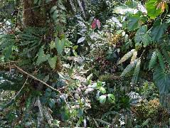 DSCF8674.JPG