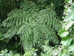 DSCF8675.JPG