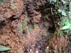 DSCF8679.JPG