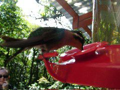 DSCF8680.JPG