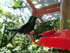 DSCF8681.JPG