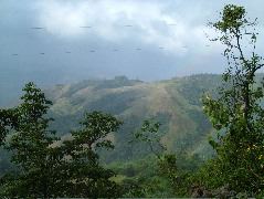 DSCF8682.JPG