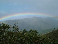 DSCF8683.JPG