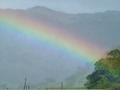 DSCF8684.JPG