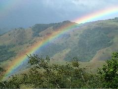 DSCF8685.JPG