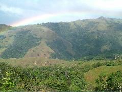 DSCF8687.JPG