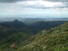 DSCF8688.JPG