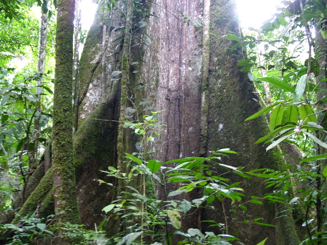 DSCF0889.JPG