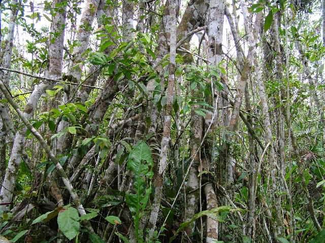 DSCF0892.JPG