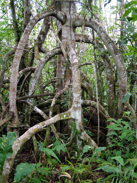 DSCF0893.JPG