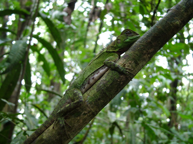 DSCF0896.JPG