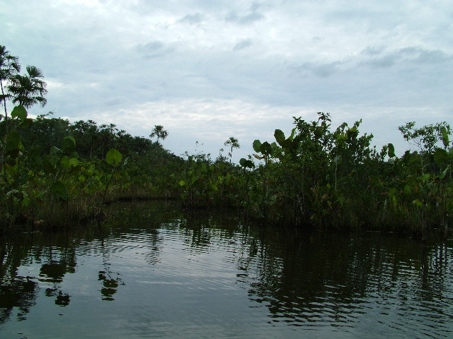 DSCF0898.JPG