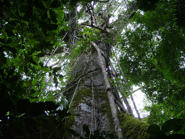 DSCF0904.JPG