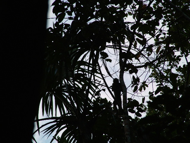 DSCF0924.JPG