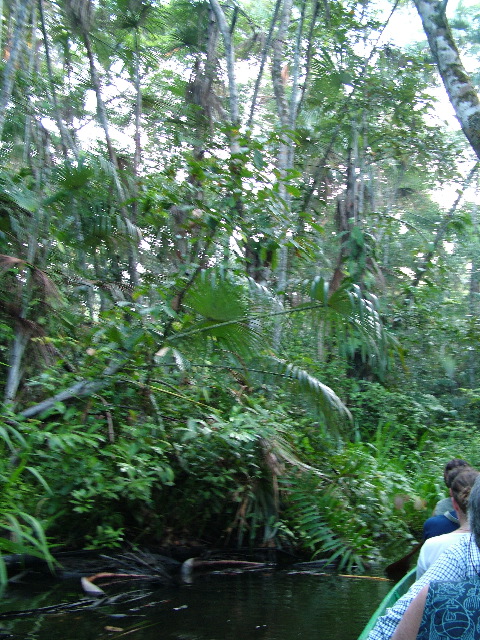 DSCF0925.JPG
