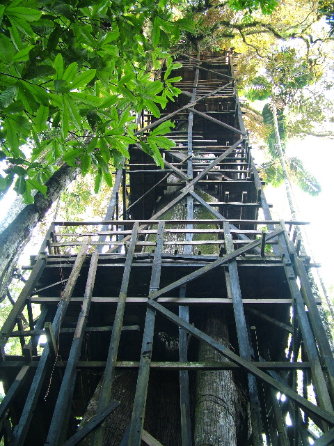 DSCF0930.JPG