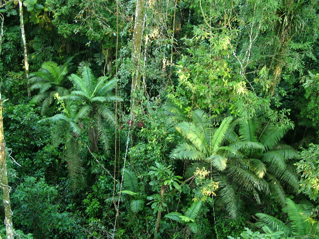 DSCF0934.JPG
