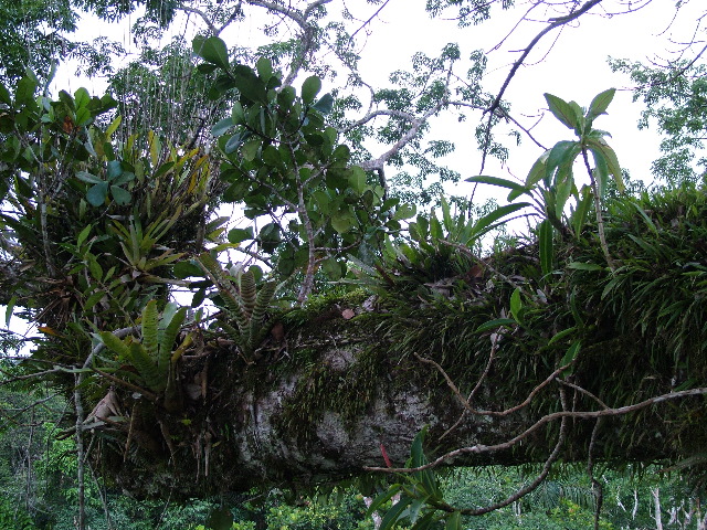 DSCF0938.JPG
