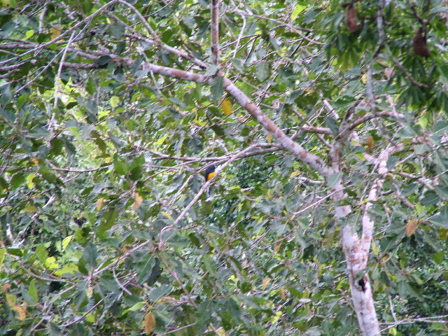 DSCF0942.JPG