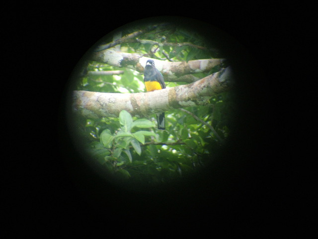DSCF0944.JPG