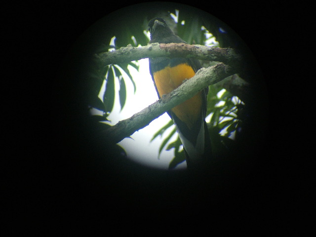 DSCF0943.JPG