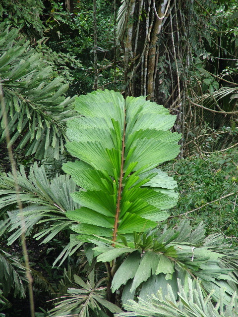 DSCF0951.JPG