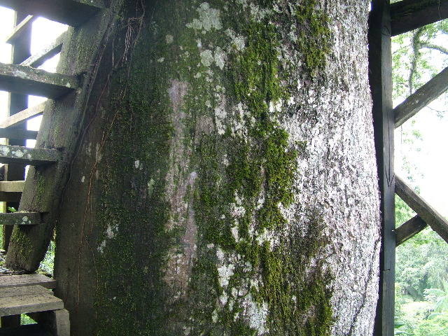 DSCF0952.JPG