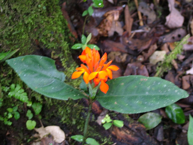 DSCF0957.JPG
