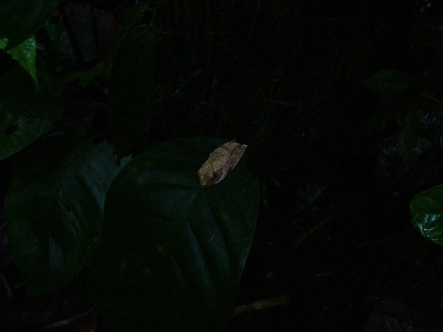 DSCF0987.JPG