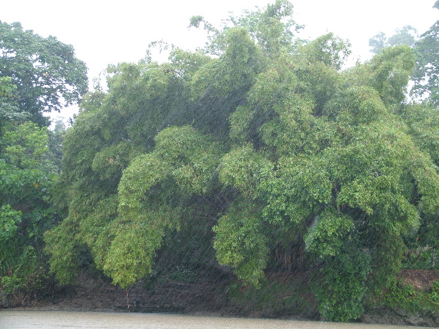 DSCF1011.JPG