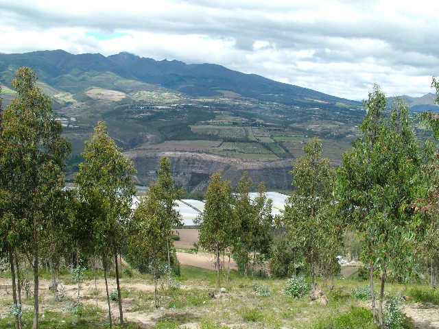 DSCF1116.JPG
