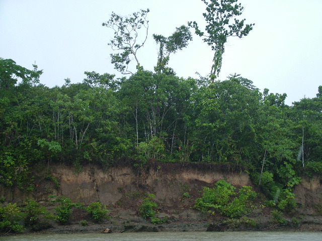DSCF1013.JPG