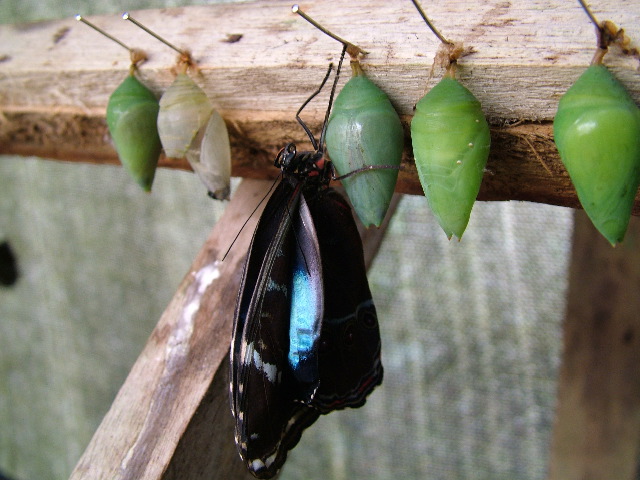 DSCF1043.JPG