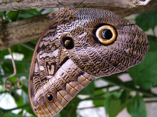 DSCF1045.JPG