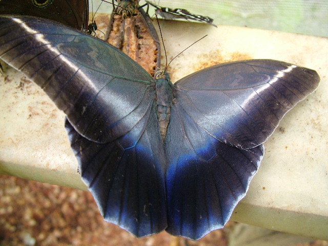 DSCF1047.JPG