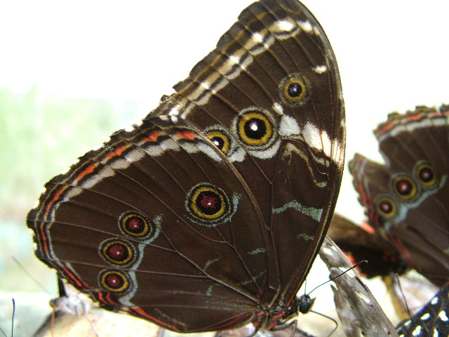 DSCF1048.JPG