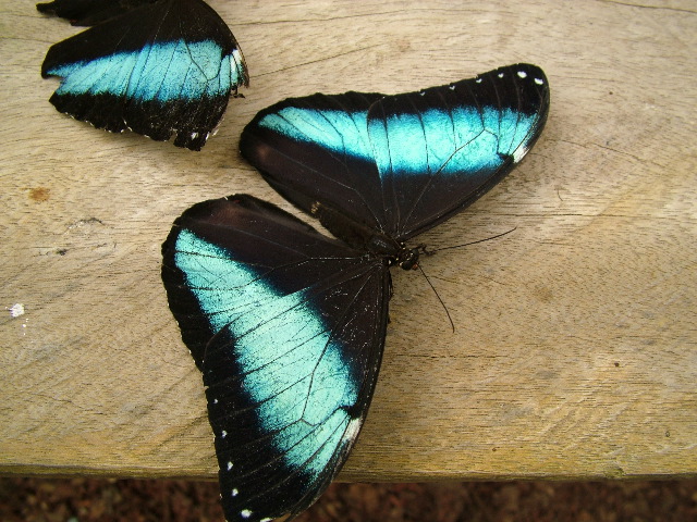 DSCF1050.JPG