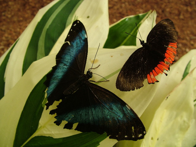 DSCF1051.JPG