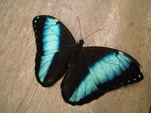 DSCF1054.JPG