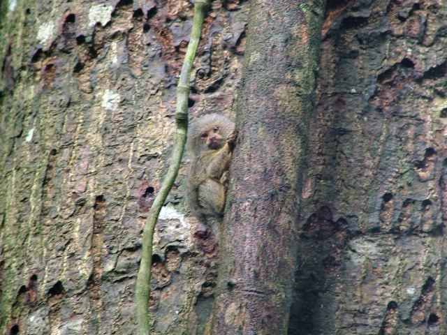 DSCF1056.JPG