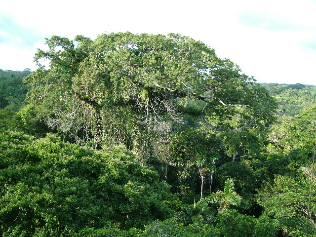 DSCF1062.JPG