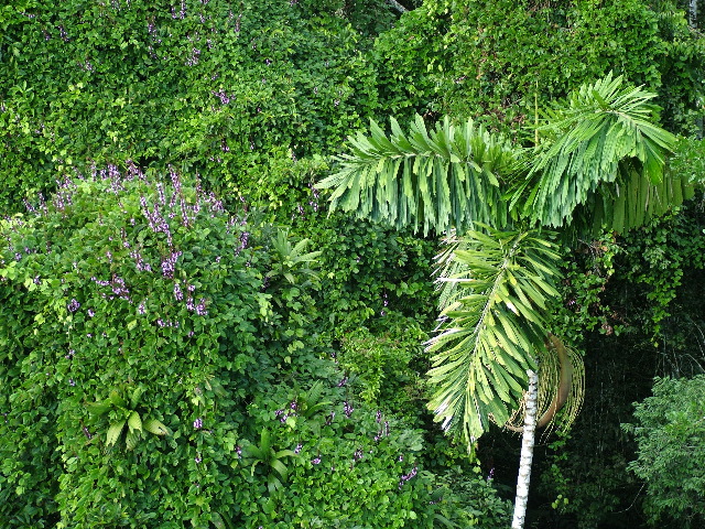 DSCF1063.JPG