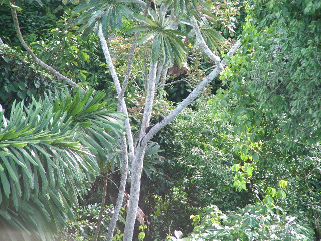 DSCF1065.JPG