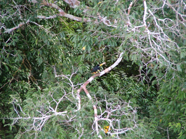 DSCF1070.JPG