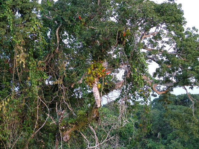 DSCF1073.JPG