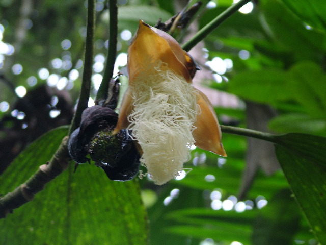 DSCF1079.JPG