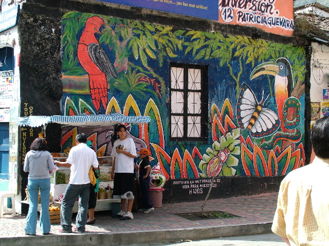 DSCF0823.JPG