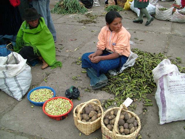 DSCF0845.JPG