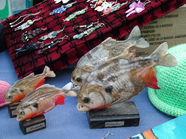 DSCF1136.JPG